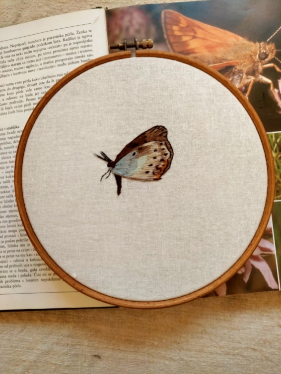 embroidered butterfly